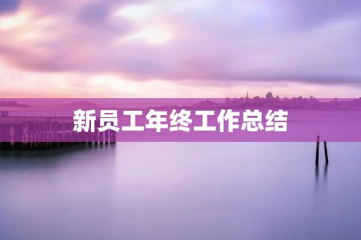 新员工年终工作总结:我的成长之路