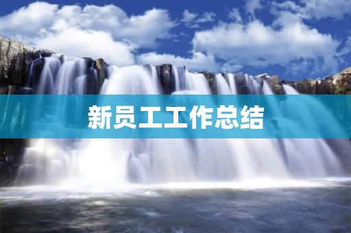 新员工工作总结:融入团队的挑战与成长