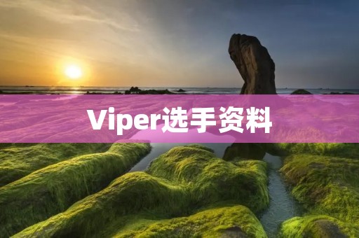 Viper选手资料：一个传奇的DOTA2选手