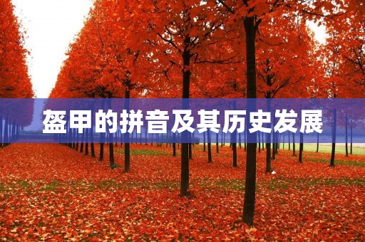 盔甲的拼音及其历史发展