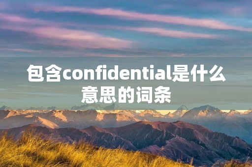 包含confidential是什么意思的词条 包含confidential是什么意思的词条
