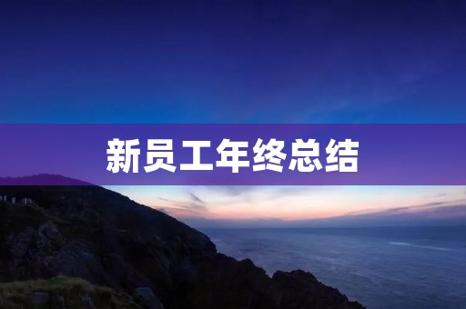 新员工年终总结:我的成长之路