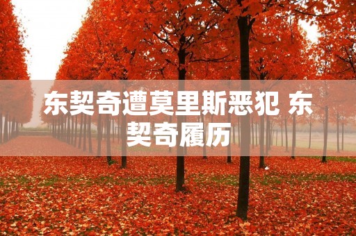 东契奇遭莫里斯恶犯 东契奇履历