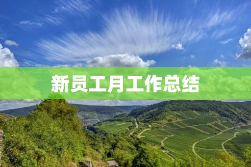 新员工月工作总结:我在公司的第一个月
