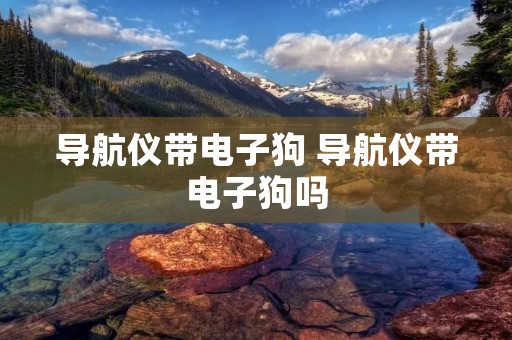 导航仪带电子狗 导航仪带电子狗吗 导航仪带电子狗 导航仪带电子狗吗