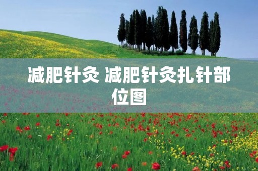 减肥针灸 减肥针灸扎针部位图 减肥针灸 减肥针灸扎针部位图