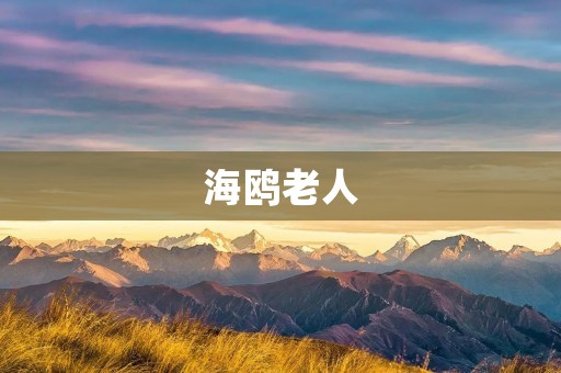 海鸥老人：海岸线上的守护者