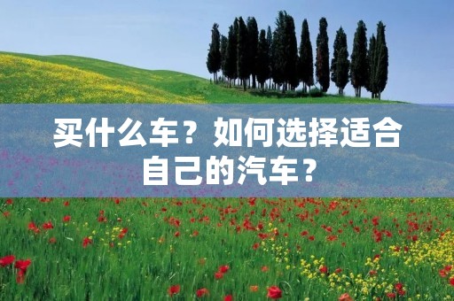 买什么车?如何选择适合自己的汽车? 买什么车?如何选择适合自己的汽车?