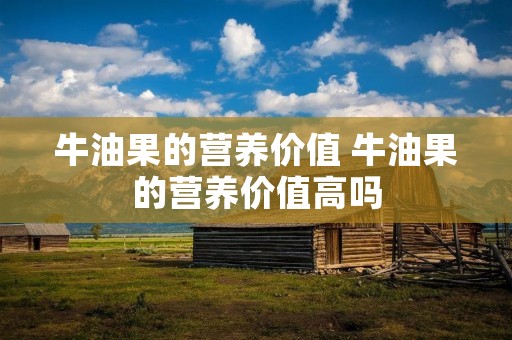 牛油果的营养价值 牛油果的营养价值高吗