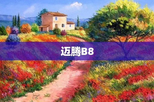 迈腾B8：豪华大气、稳健可靠的旗舰车型
