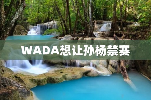 WADA想让孙杨禁赛：从事件经过到国际反应的分析