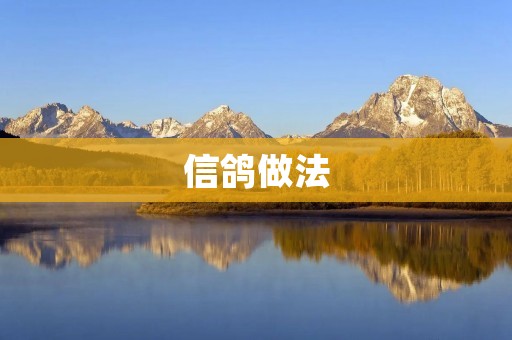 信鸽做法:如何饲养和训练信鸽 信鸽做法:如何饲养和训练信鸽