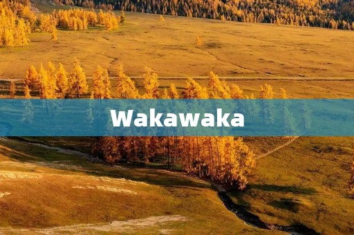 Wakawaka：让我们一起为环保而战