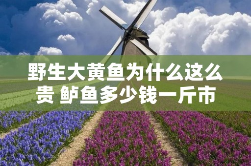 野生大黄鱼为什么这么贵 鲈鱼多少钱一斤市场价2023