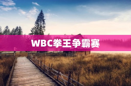 WBC拳王争霸赛:重拳轰击擂台 WBC拳王争霸赛:重拳轰击擂台