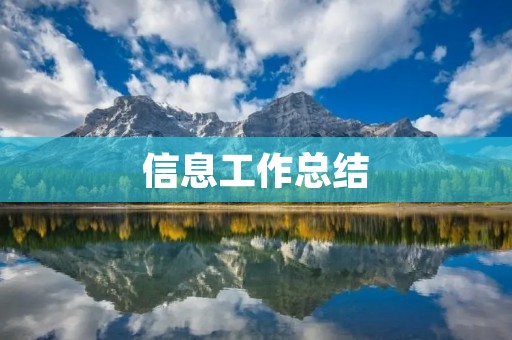 信息工作总结：从实践中汲取经验，推动工作创新