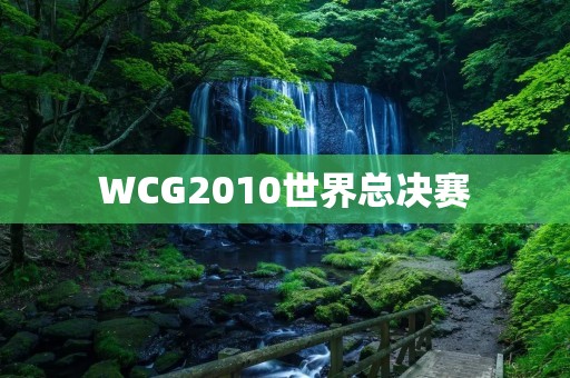 WCG2010世界总决赛：电竞界的盛会