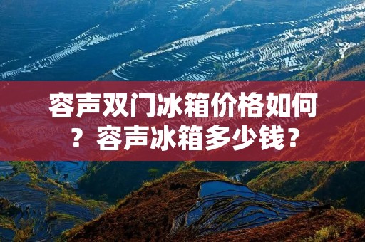 容声双门冰箱价格如何？容声冰箱多少钱？