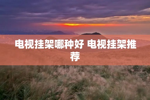 电视挂架哪种好 电视挂架推荐