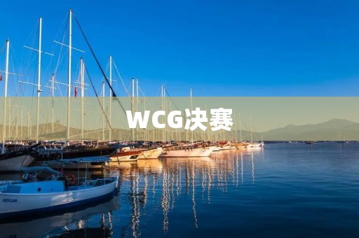 WCG决赛：电子竞技的巅峰盛宴