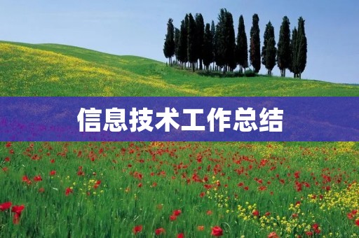 信息技术工作总结