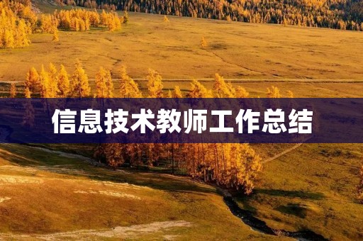 信息技术教师工作总结