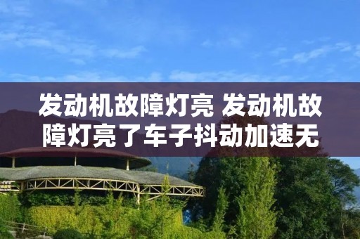 发动机故障灯亮 发动机故障灯亮了车子抖动加速无力