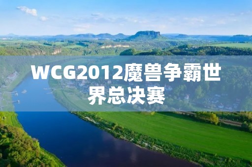 WCG2012魔兽争霸世界总决赛：电竞的盛宴