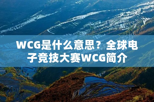 WCG是什么意思？全球电子竞技大赛WCG简介