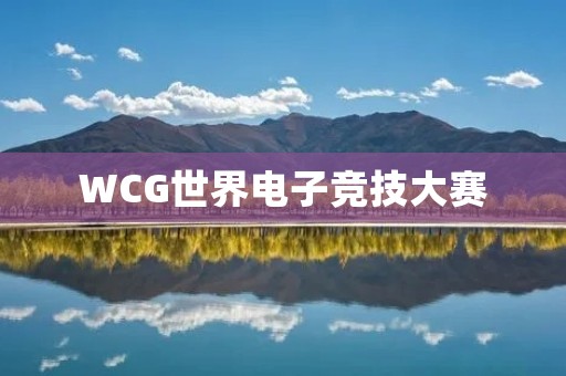 WCG世界电子竞技大赛：电竞界的奥运会