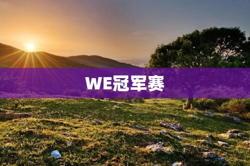WE冠军赛：电竞界的顶级盛宴