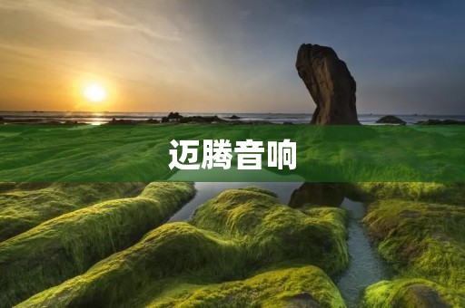 迈腾音响:领航音乐之路 迈腾音响:领航音乐之路