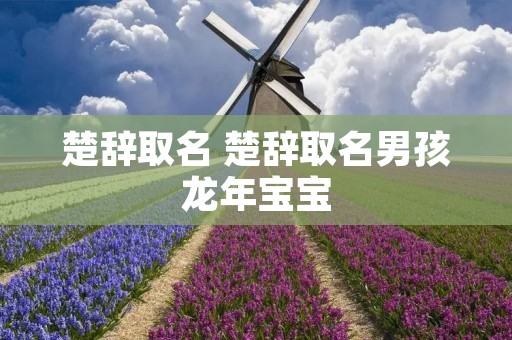楚辞取名 楚辞取名男孩龙年宝宝
