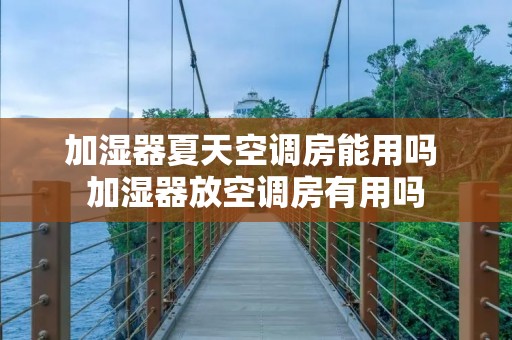 加湿器夏天空调房能用吗 加湿器放空调房有用吗 加湿器夏天空调房能用吗 加湿器放空调房有用吗