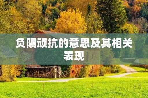 负隅顽抗的意思及其相关表现