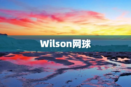 Wilson网球:专为赢家而生 Wilson网球:专为赢家而生