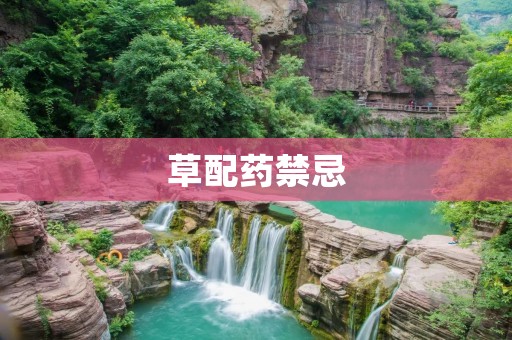 草配药禁忌：不可忽视的草药搭配问题