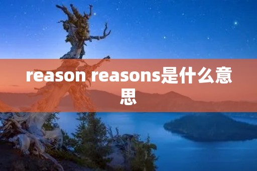 reason reasons是什么意思