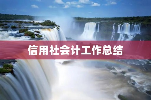 信用社会计工作总结