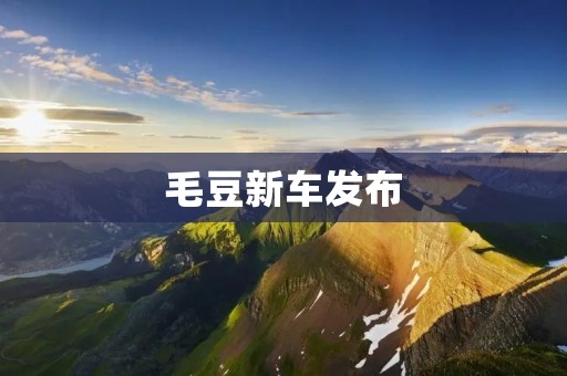 毛豆新车发布:打造更智能、更环保的出行方式 毛豆新车发布:打造更智能、更环保的出行方式