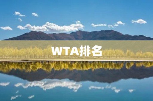 WTA排名:女子网球运动员的排名体系 WTA排名:女子网球运动员的排名体系