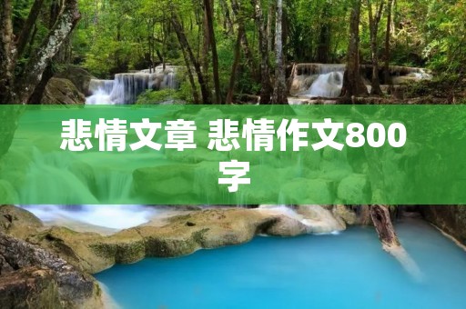 悲情文章 悲情作文800字 悲情文章 悲情作文800字