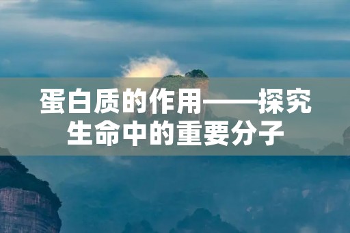 蛋白质的作用——探究生命中的重要分子 蛋白质的作用——探究生命中的重要分子