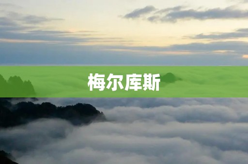 梅尔库斯：一个伟大的数学家