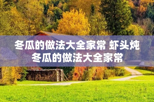 冬瓜的做法大全家常 虾头炖冬瓜的做法大全家常
