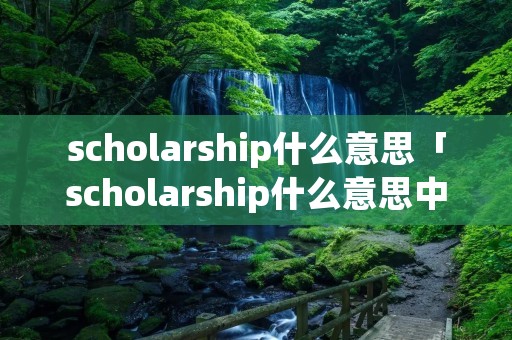 scholarship什么意思「scholarship什么意思中文翻译」