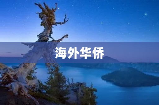 海外华侨:跨越国界的文化使者 海外华侨:跨越国界的文化使者