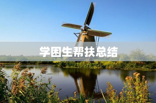 学困生帮扶总结