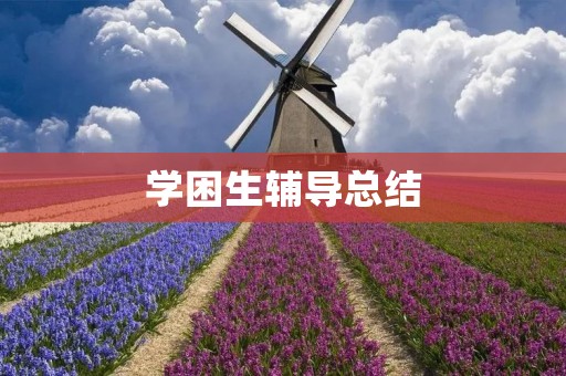学困生辅导总结