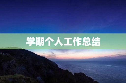 学期个人工作总结